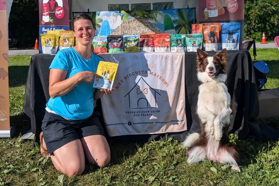 Gâterie d'entraînement pour chien : comment choisir (chiot, petit chien, surpoids)