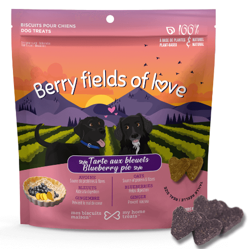 image du produit berry fields of love sur le site web mesbiscuitsmaison.ca