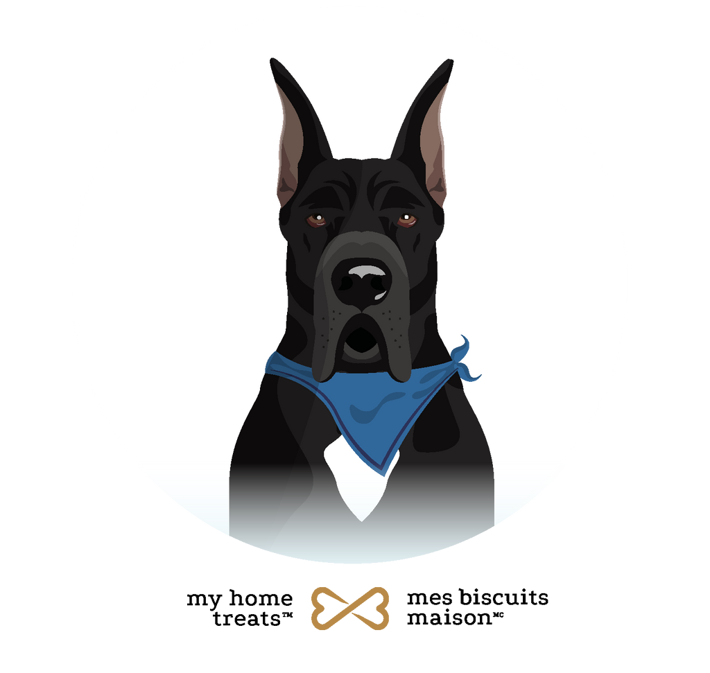 Illustration of Belly, a Great Dane in a blue bandana, representing gastrointestinal health and large breed support from hypoallergenic dog treats & supplements.