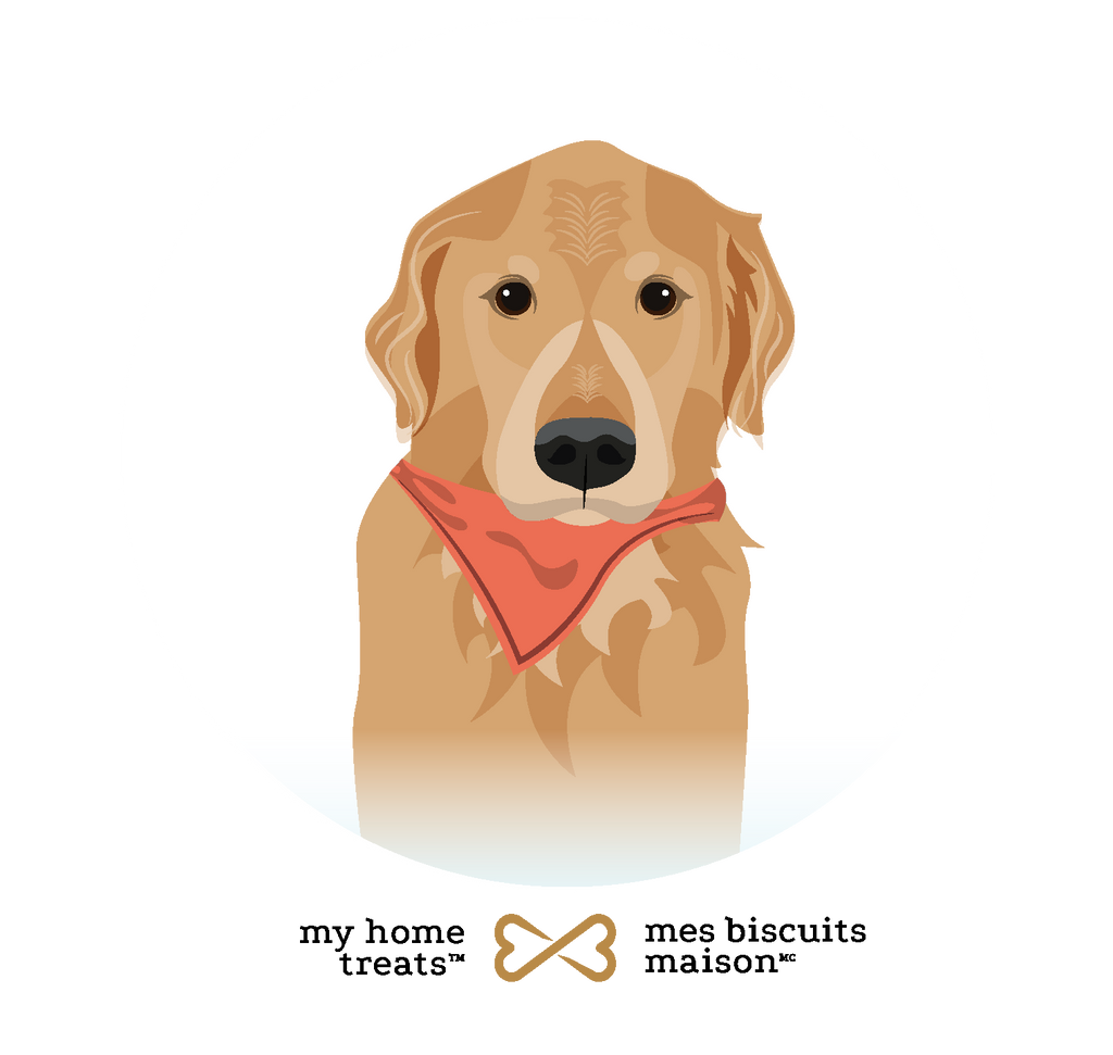 Illustration of Flurry, a Golden Retriever with a red bandana, symbolizing joint care and flexibility from hypoallergenic dog treats & supplements.