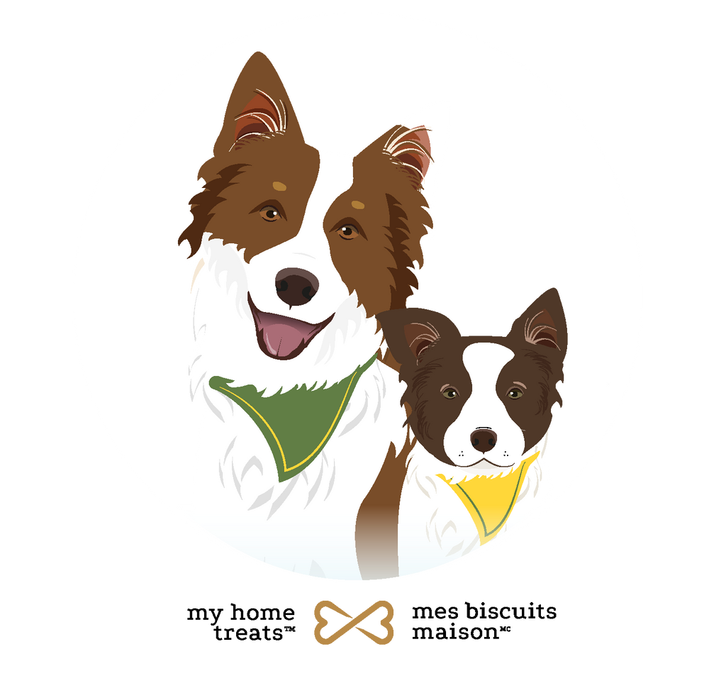 Illustration of two Border Collies, Lumina and Tesla, wearing green and yellow bandanas, symbolizing energy and joint support in hypoallergenic dog treats & supplements.