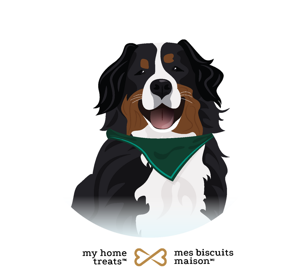 Illustration of Minty, a Bernese Mountain Dog with a green bandana, symbolizing freshness and support for mobility in hypoallergenic dog treats & supplements.