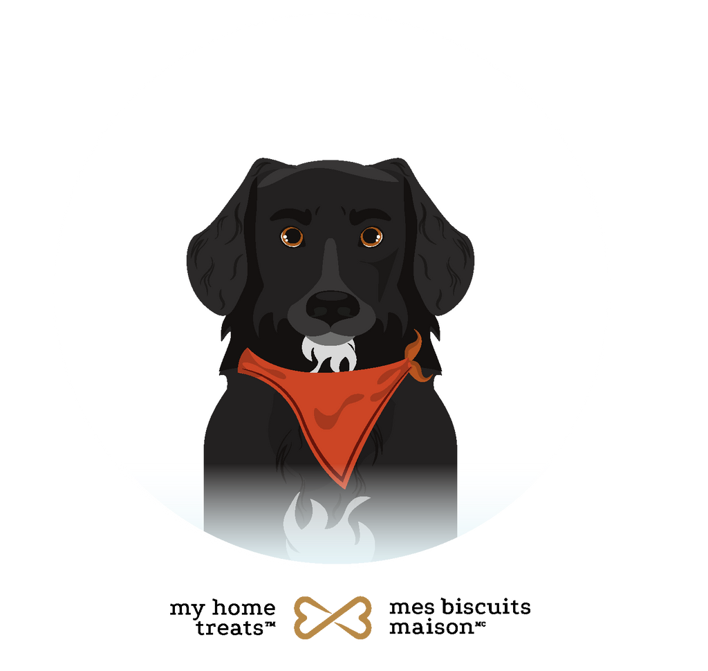 Illustration of Speedy, a black dog wearing an orange bandana, representing active digestion and health benefits in hypoallergenic dog treats & supplements.