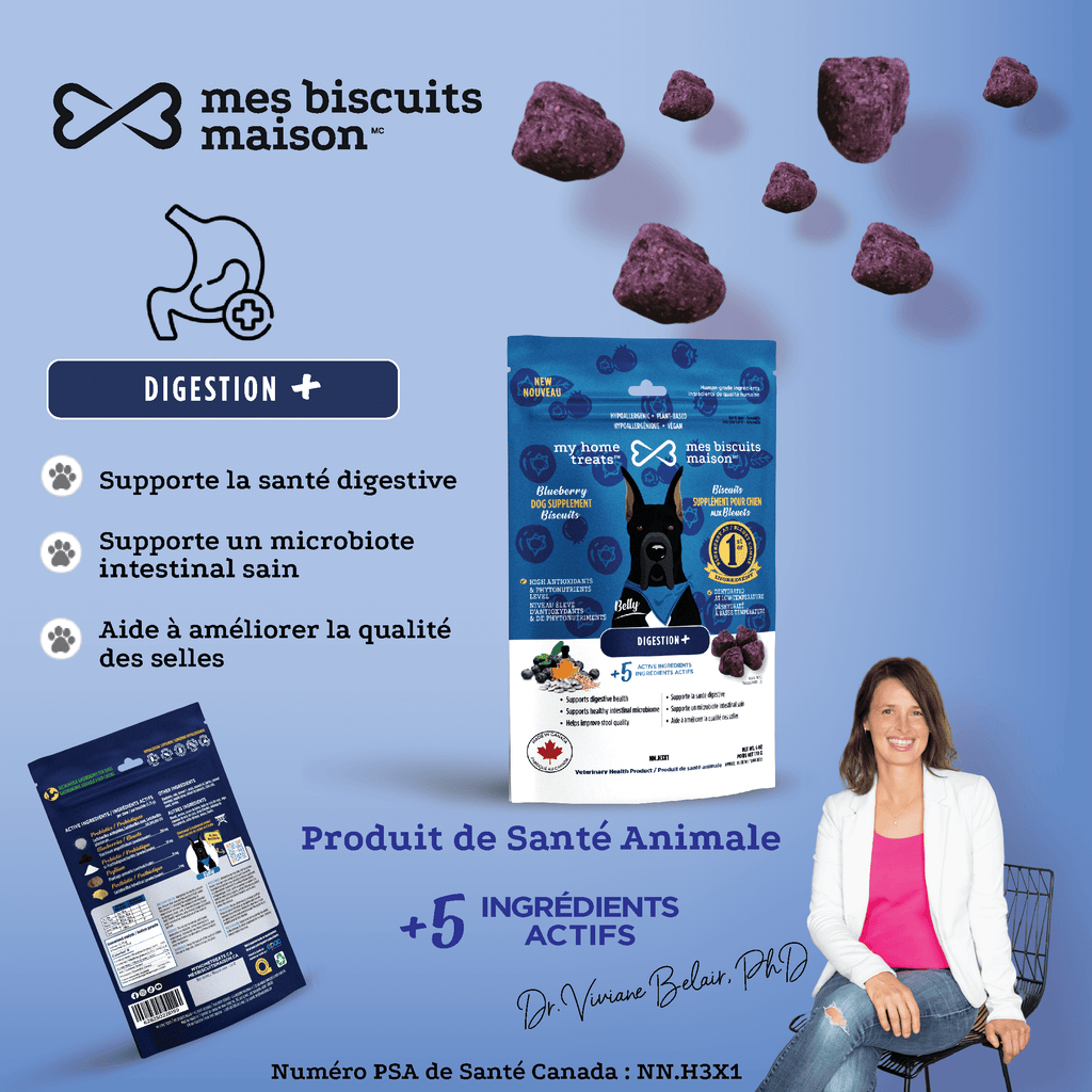 Informations sur les produits pour friandises et suppléments hypoallergéniques pour chiens améliorant la digestion avec des probiotiques actifs et des bleuets, montrant des détails sur les ingrédients et les avantages.