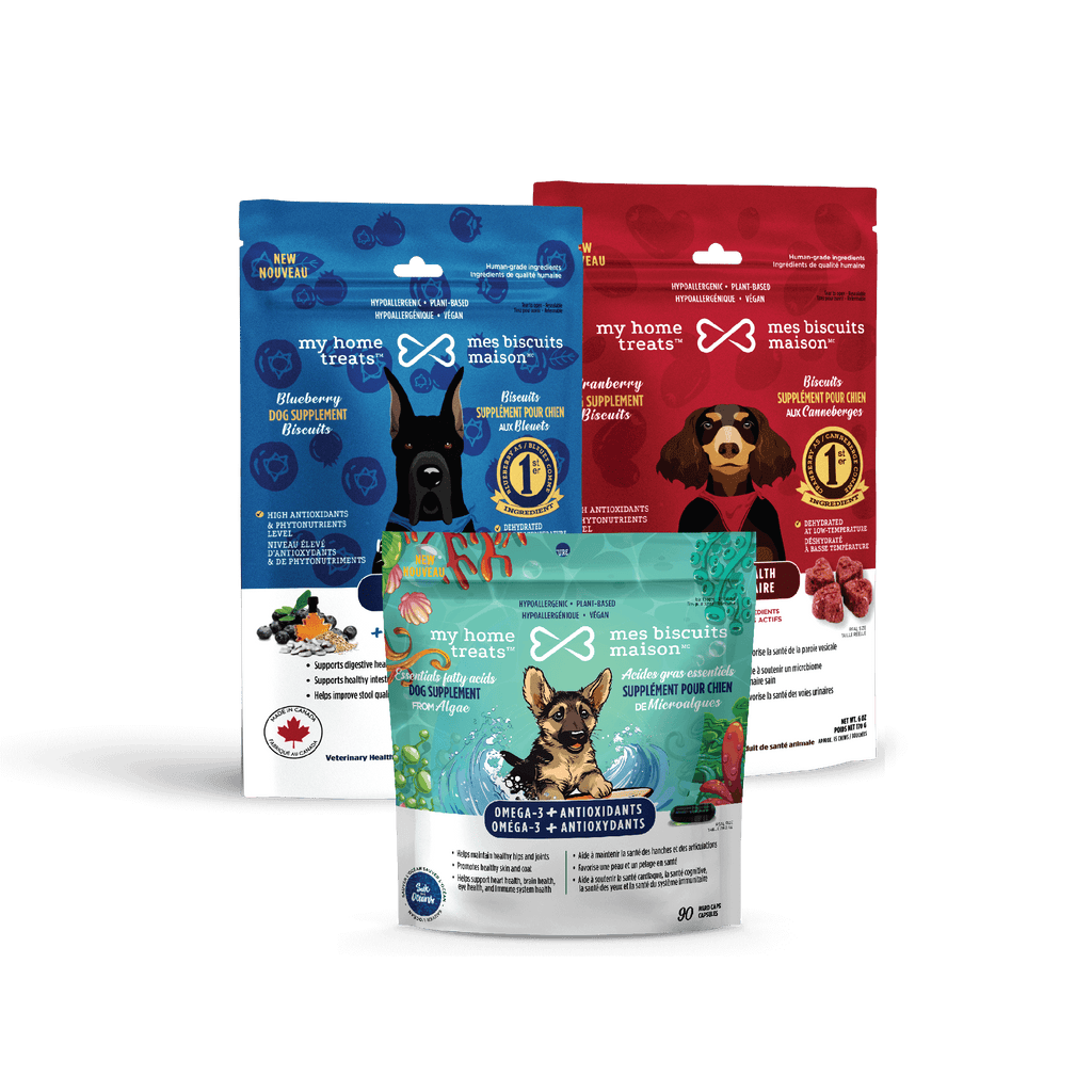 Front view of antioxidant-rich dog supplements with Omega-3, promoting plant-based hypoallergenic dog treats & supplements for overall health.