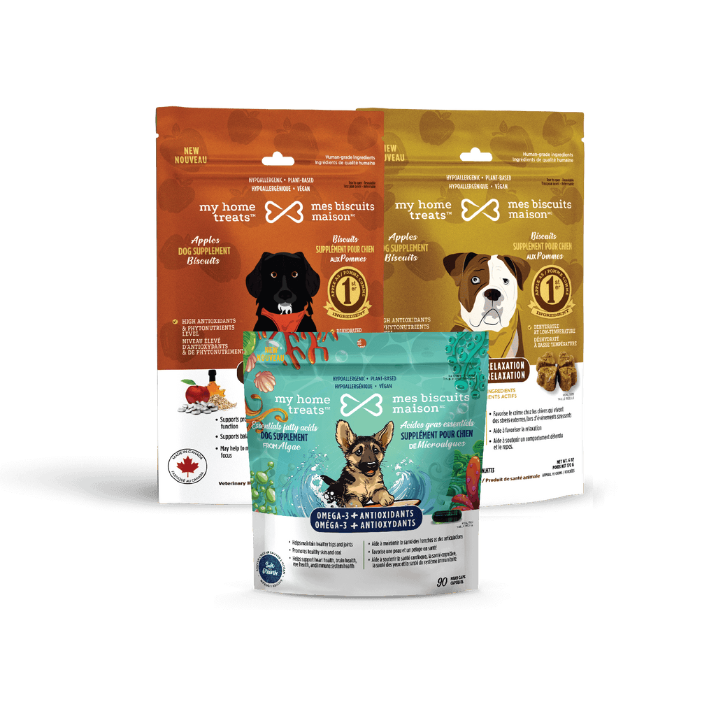 Front view of cognitive health dog supplements packaging, emphasizing focus and serenity benefits with hypoallergenic dog treats & supplements.