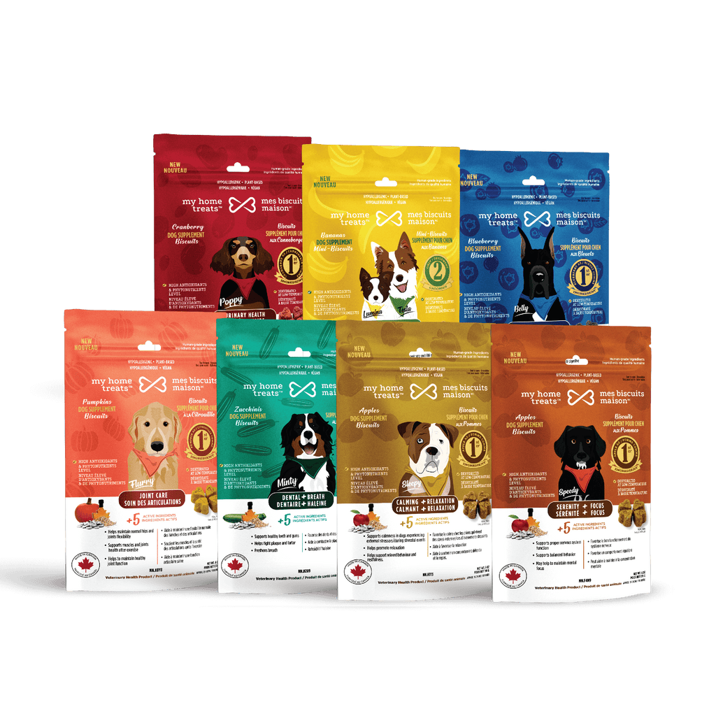 Image displaying the front of pouches of a variety of colorful hypoallergenic dog supplements, designed for optimal pet health and nutrition.