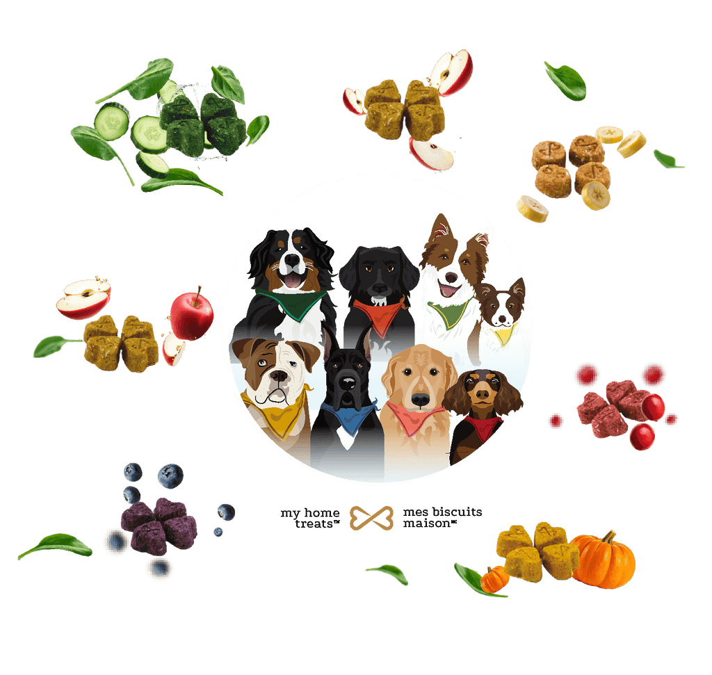 An assortment of dog treat illustrations encircling a variety of dog breeds, showcasing the full range of hypoallergenic dog treats & supplements.