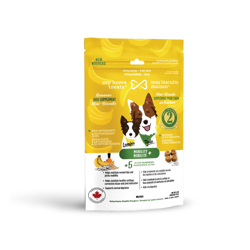 supplément mobilité pour chien aux bananes - 170g