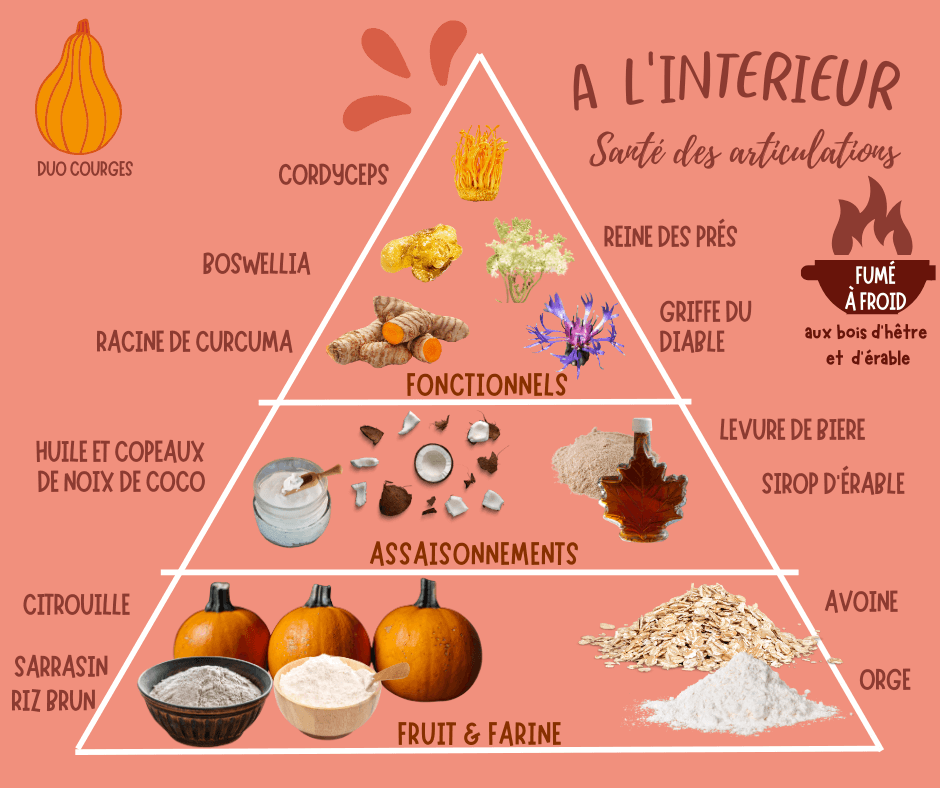 Une pyramide d'ingrédients pour les friandises pour chiens destinées à la santé articulaire de Mes Biscuits Maison, mettant en valeur des ingrédients fonctionnels comme le curcuma et le Boswellia, en accord avec leurs friandises et suppléments hypoallergéniques pour chiens.