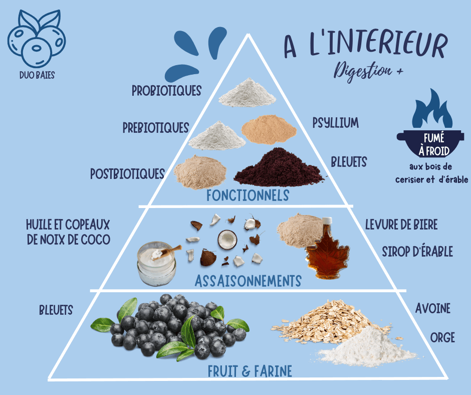 Une pyramide d'ingrédients pour les friandises pour chiens axées sur la digestion de Mes Biscuits Maison, mettant en valeur des ingrédients fonctionnels comme les probiotiques, les myrtilles et la noix de coco, favorisant les friandises et suppléments hypoallergéniques pour chiens.