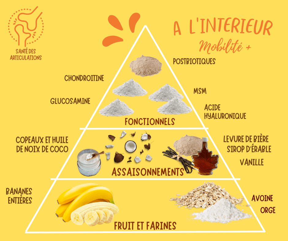 pyramide-ingredients-supplement-mobilite-mes-biscuits-maison