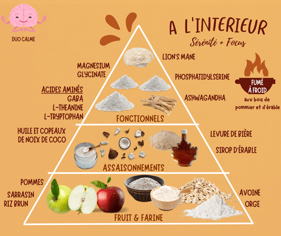 Pyramide d'ingrédients présentant des friandises et des suppléments hypoallergéniques pour chiens pour le calme et la concentration, avec des ingrédients comme le glycinate de magnésium, l'ashwagandha et les pommes.