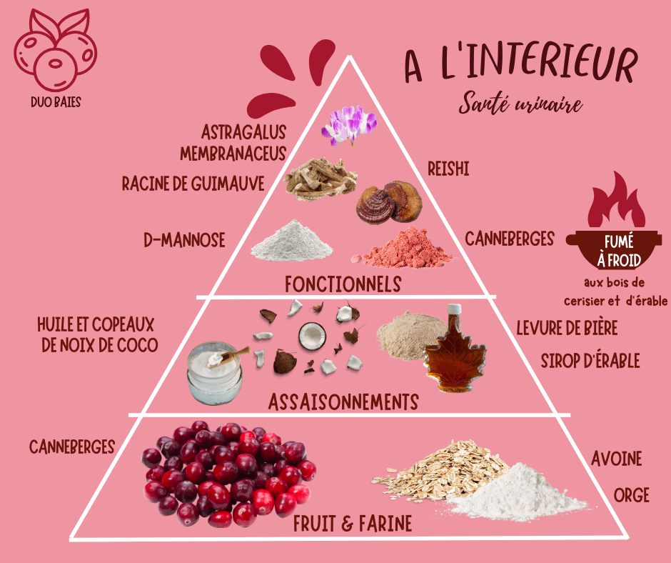 pyramide-ingredients-supplement-urinaire-mes-biscuits-maison