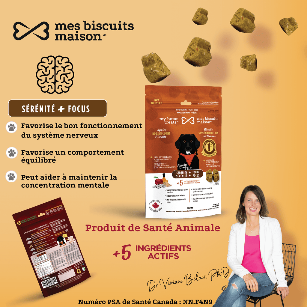 Image promotionnelle pour les suppléments de sérénité et de concentration pour chiens, mettant en évidence les bienfaits pour la santé cognitive des friandises et suppléments hypoallergéniques pour chiens sur mesbiscuitsmaison.ca.