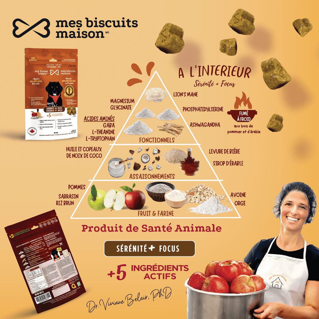 Illustration de la pyramide des ingrédients mettant en évidence les ingrédients apaisants des friandises et suppléments hypoallergéniques pour chiens axés sur la sérénité, notamment l'ashwagandha et l'huile de coco.