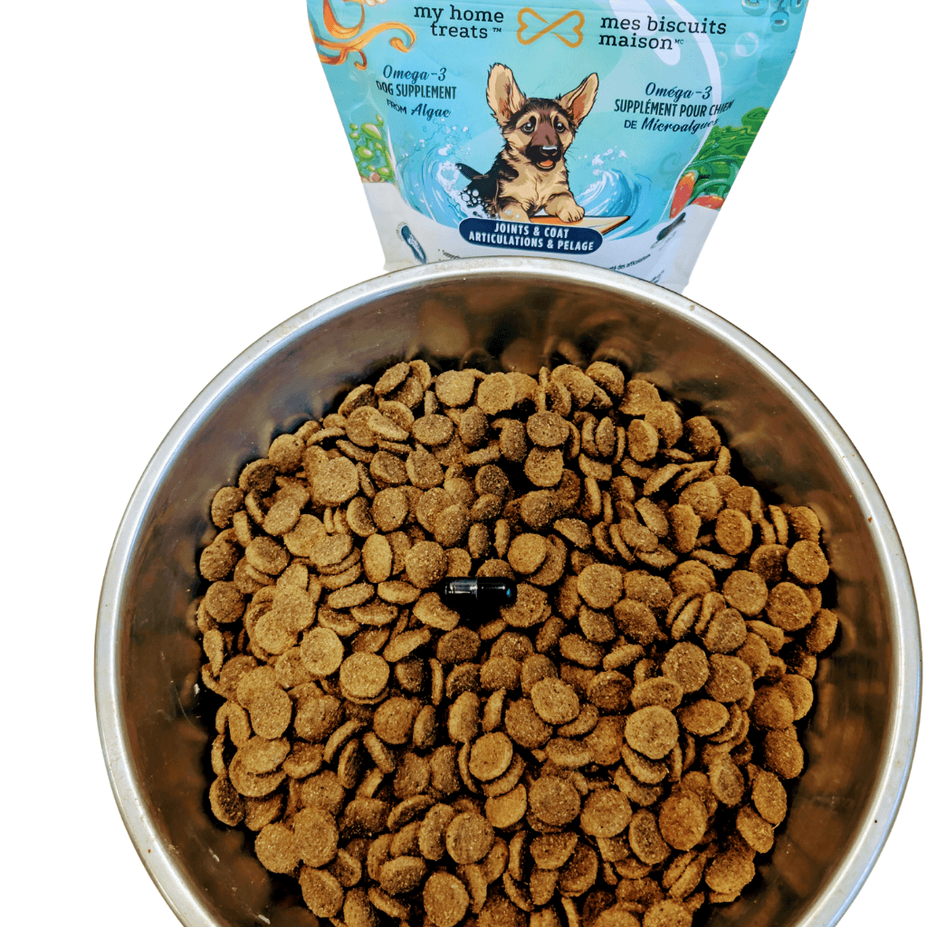 Demonstration of omega-3 dog supplements mixed with kibble for joint and coat health, featuring algae-derived Omega-3 hypoallergenic dog treats & supplements.