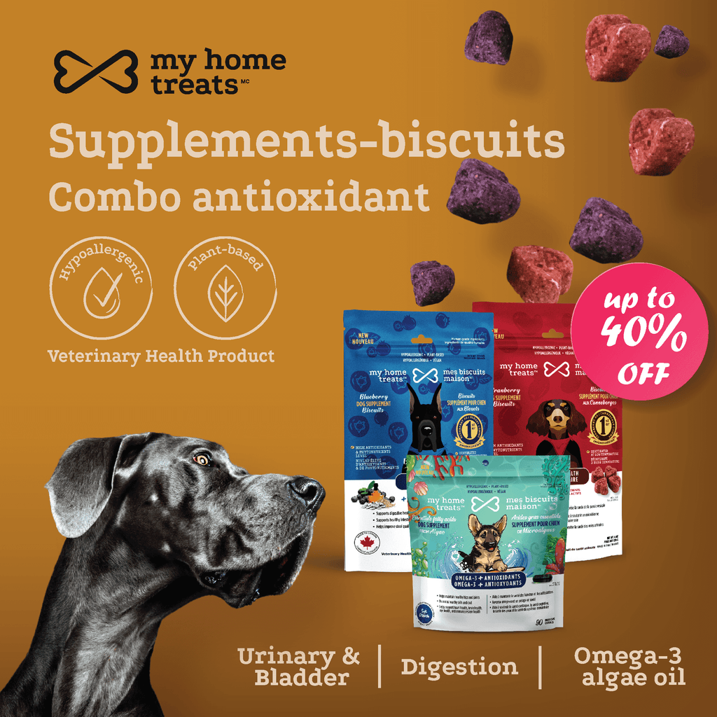 Promotional banner showcasing antioxidant-rich dog treats and supplements with Omega-3 oil, promoting hypoallergenic dog treats & supplements on mesbiscuitsmaison.ca.