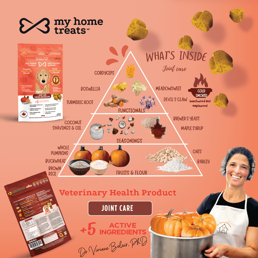 A product pyramid for joint-supporting hypoallergenic dog treats & supplements. Features functional ingredients like turmeric root, boswellia, and cordyceps, with seasonal flavors like pumpkin and hearty grains such as barley.