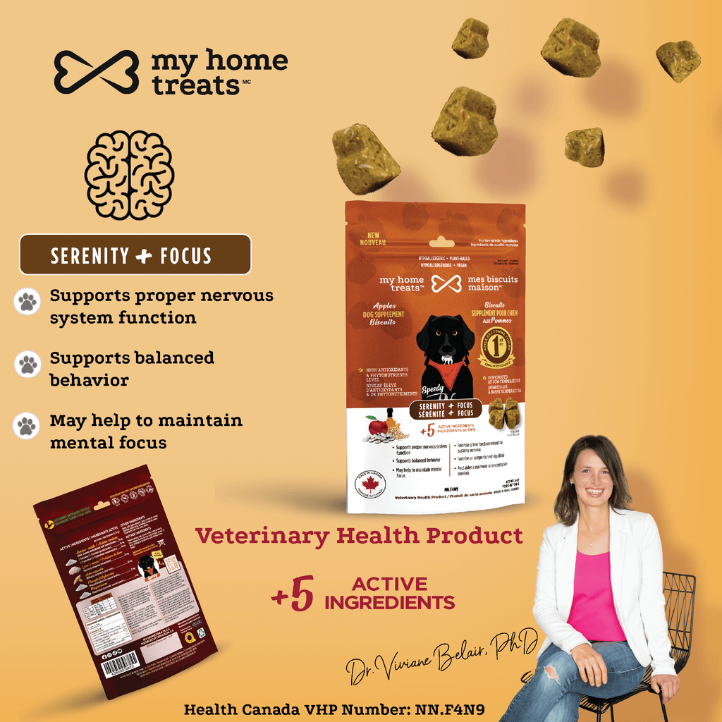 A promotional image showcasing serenity-focused hypoallergenic dog treats & supplements for dogs. Contains functional ingredients like magnesium, L-theanine, and ashwagandha to support mental focus and balanced behavior in dogs.