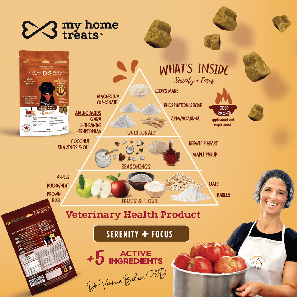 A pyramid-style chart of serenity-enhancing hypoallergenic dog treats & supplements. Includes calming ingredients such as GABA, phosphatidylserine, and lions mane, paired with apples and oats for a holistic approach to canine mental health.