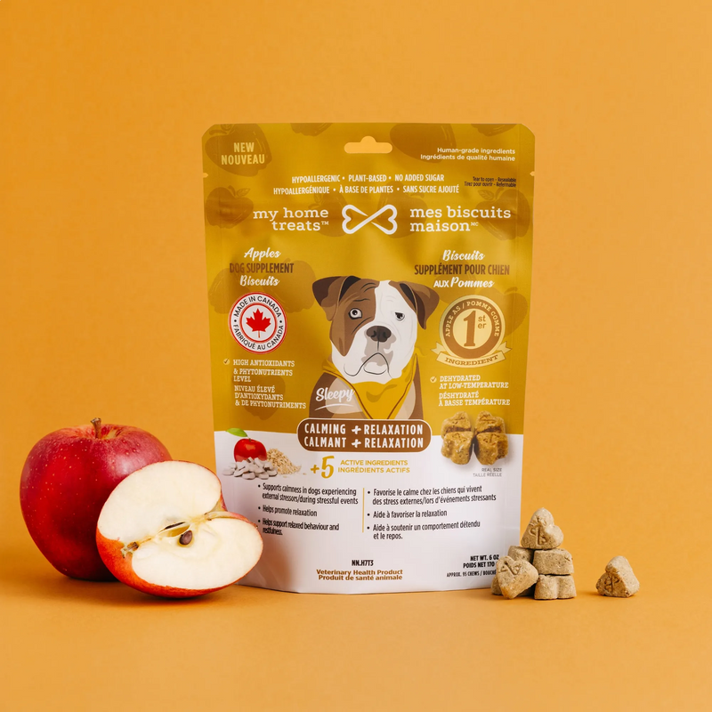 Supplément calmant – Anti-stress naturel pour chien