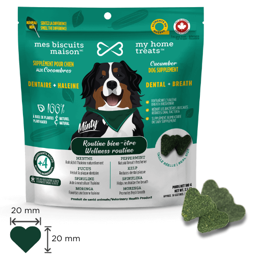 sac de suppléments pour chien aux concombres pour la santé dentaire et l'haleine vue devant