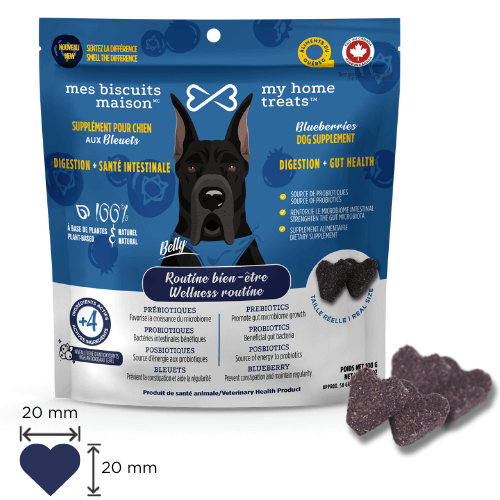 sac de suppléments pour chien aux bleuets pour la santé digestive et intestinale vue devant
